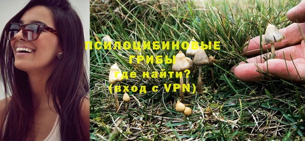 2c-b Зеленокумск