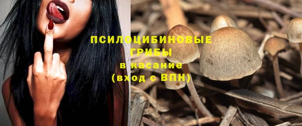 спиды Зеленодольск