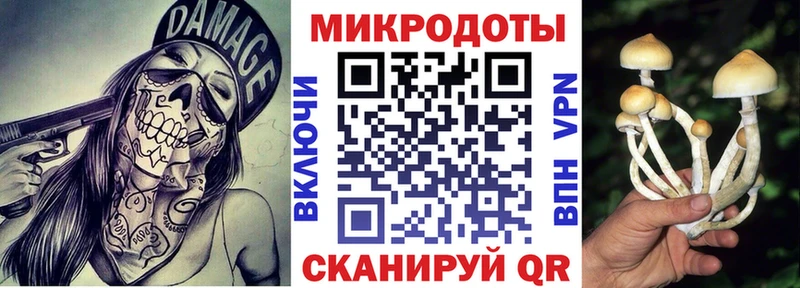 Псилоцибиновые грибы мухоморы  Купить закладки  Калач-на-Дону 